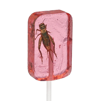 Hotlix Cricket Strawberry Sucker lollipop