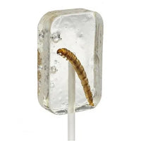 Hotlix Worm Suckers - Tequila (box of 36 - 1 flavour) - Chile Mojo