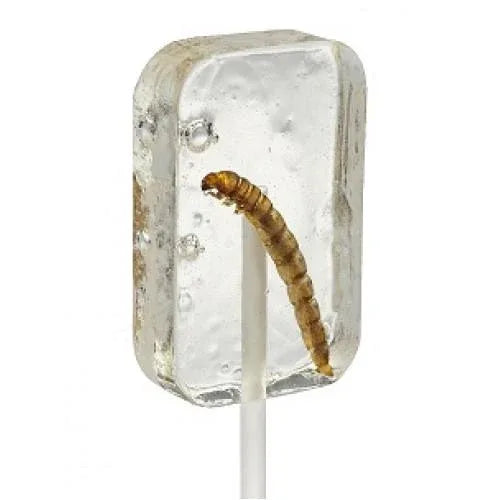 Hotlix Worm Suckers - Tequila (box of 36 - 1 flavour) - Chile Mojo