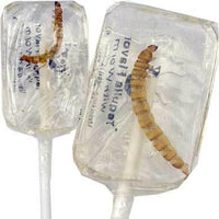 Hotlix Worm Tequila sucker 28gm - Chile Mojo