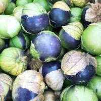 Seeds - Tomatillo Purple - Chile Mojo