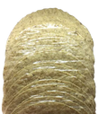 Taco Shells - 5.5inch (14cm) 10-pack - Chile Mojo