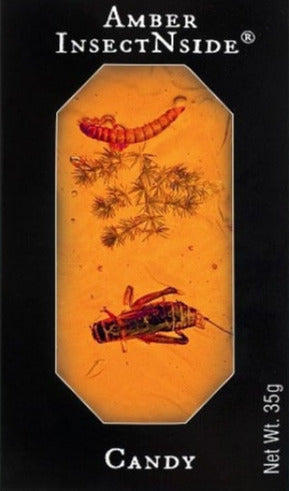 Hotlix InsectNside Amber Brittle Candy - melted - best before Sep 2023