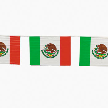 Mexican Flag Banner 30ft