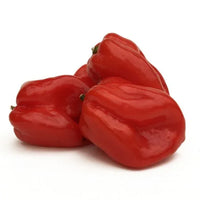 Seeds - Chile Habanero Red - Chile Mojo