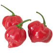 Seeds - Chile Habanero Red - Chile Mojo