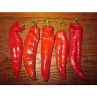 Seeds - Chile New Mexico NuMex Joe E Parker - Chile Mojo