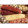 Seeds - Sweetcorn Anasazi - Chile Mojo