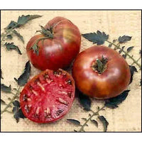 Seeds - Tomato Cherokee Purple - Chile Mojo