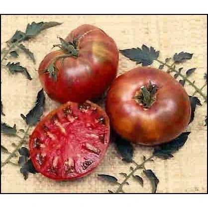 Seeds - Tomato Cherokee Purple - Chile Mojo