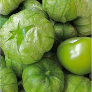 Seeds - Tomatillo - Chile Mojo