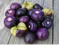 Seeds - Tomatillo Purple - Chile Mojo